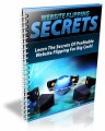 Website Flipping Secrets Plr Ebook