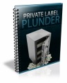 Private Label Plunder Plr Ebook