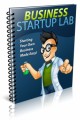 Business Startup Lab Plr Ebook