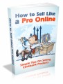 How To Sell Like A Pro Online Plr Ebook