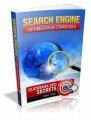 Search Engine Optimization Strategies Part One Plr Ebook