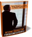 Internet Marketing For Business People MRR Ebook