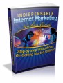 Indispensable Internet Marketing Newbies Guide Plr Ebook