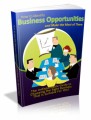 How To Identify Business Opportunities Plr Ebook
