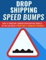 Dropshipping Speed Bumps PLR Ebook