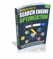 Beginners Guide To Search Engine Optimization Resale Rights Ebook