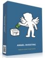 Angel Investing Personal Use Ebook