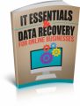 It Essentials And Data Recovery MRR Ebook