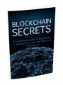 Blockchain Secrets MRR Ebook