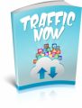 Traffic Now MRR Ebook