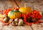 Autumn Decor Plr Articles