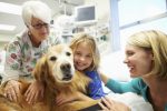 Pet Therapy Plr Articles