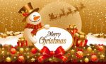 Christmas Plr Articles V6