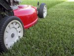 Starting A Lawn Care Business Plr Articles V2