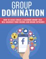 Group Domination PLR Ebook