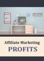 Affiliate Marketing Profits PLR Ebook