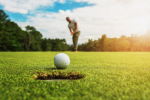 Golf Drivers Plr Articles