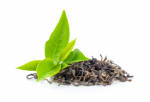 Green Tea Plr Articles v2