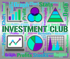 Investment Club Plr Articles