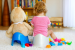 Potty Training Plr Articles v2