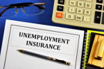 Unemployment Insurance Plr Articles v2