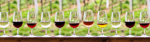 Wine Tasting Plr Articles v2