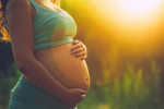Pregnancy Plr Articles v5