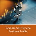 Increase Your Service Business Profits PLR Ebook