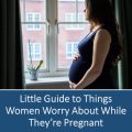 Little Guide to Things Women Worry About While Theyre Pregnant PLR Ebook