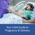 Your Little Guide to Pregnancy & Delivery PLR Ebook