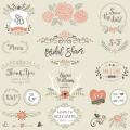 Bridal Shower Invitations PLR Autoresponder Email Series