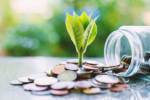 Eco-Friendly Finance Plr Articles