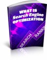 What Is Search Engine Optimization MRR Ebook