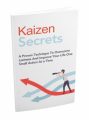 Kaizen Secrets MRR Ebook With Audio