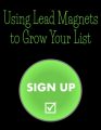 Using Lead Magnets To Grow Your List PLR Ebook