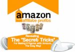 Amazon Affiliate Profits MRR Ebook With Audio