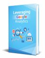 Leveraging Google Analytics PLR Ebook