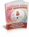 Blogging Basics For Beginners PLR Ebook