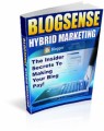 Blog Sense Hybrid Marketing Resale Rights Ebook