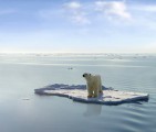 Global Warming Plr Articles v4