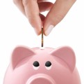 Personal Finance Plr Articles v19
