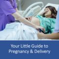 Your Little Guide to Pregnancy & Delivery PLR Ebook