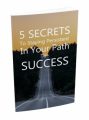 5 Secrets To Staying Persistent MRR Ebook With Audio